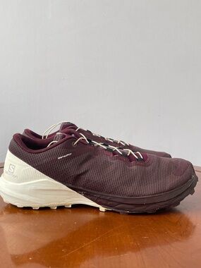 Salomon Sense 4 Pro Trail Running  Shoes | US 7